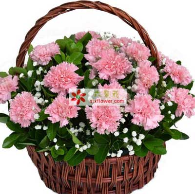 母親節(jié)訂花服務(wù) 臺(tái)州路橋區(qū)花店為您傳遞愛(ài)的溫暖