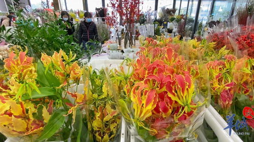 年花市場紅紅火火 本地品種與網紅產品引領新風尚，辦公用品煥發新春氣息
