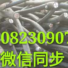 循環(huán)經(jīng)濟的基石 再生資源回收的意義、挑戰(zhàn)與發(fā)展路徑